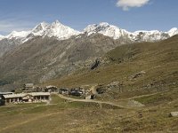 CH, Wallis, Zermatt, Riffelberg 2, Saxifraga-Willem van Kruijsbergen